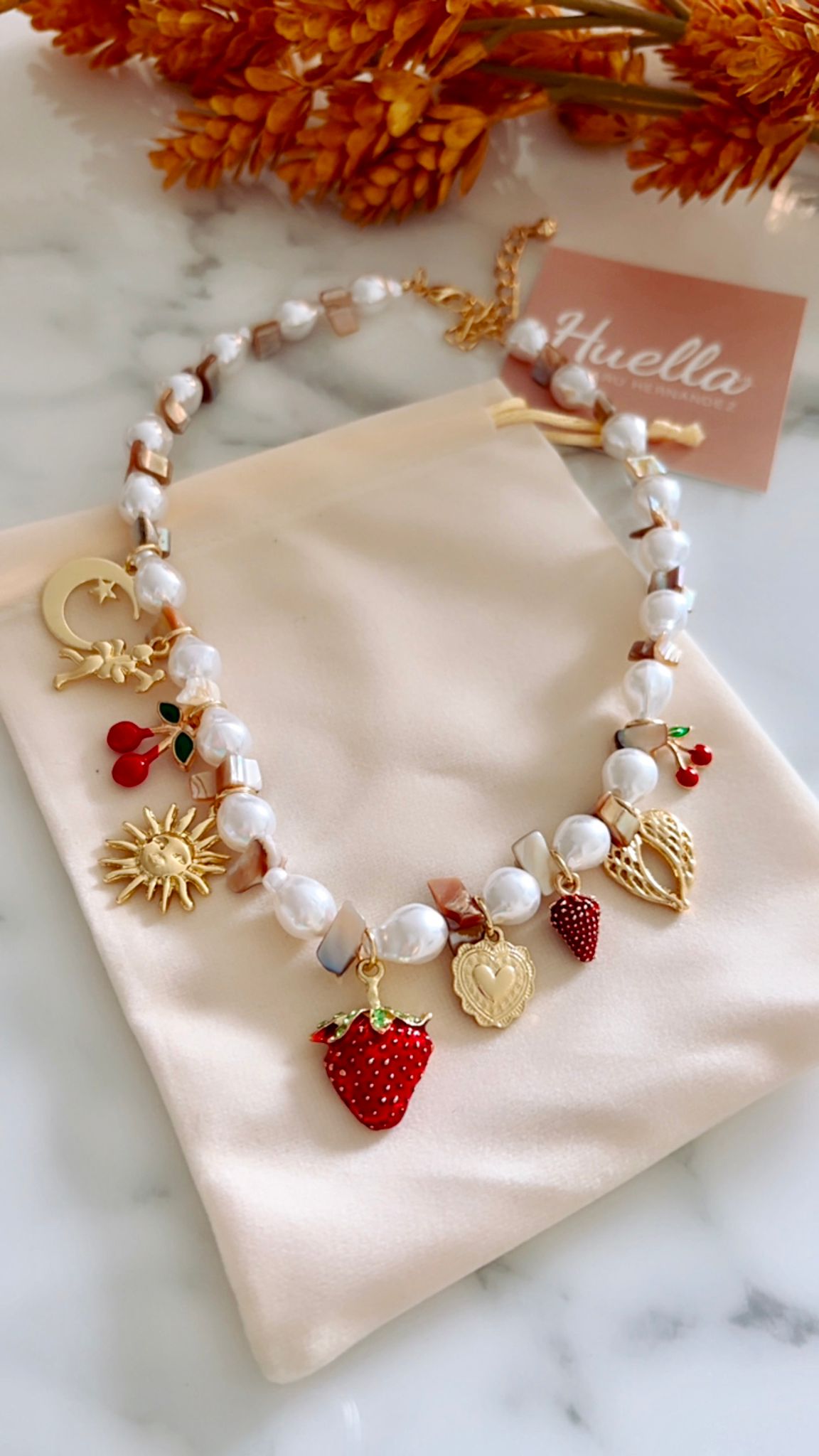 Collar Multi Charm