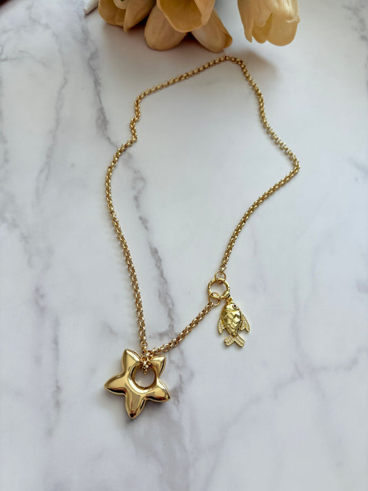 Cadena estrella Fugaz
